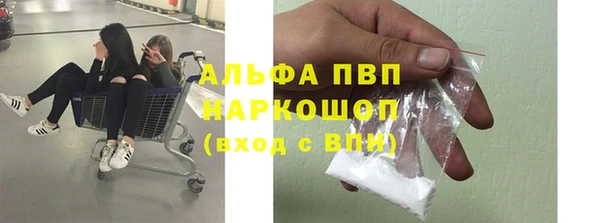 дживик Ростов