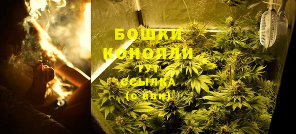 крисы Россошь